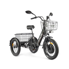 GREEN CITY e-ALFA Trike (черный) GREEN CITY e-ALFA Trike (черный)