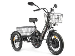 GREEN CITY e-ALFA Trike (черный)