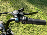 Электрический трицикл фэтбайк GreenCamel Трайк-F20 (500W 15Ah), Красный