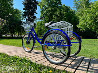 Трехколесный электровелосипед GreenCamel Трайк-24 V2 (R24 350W 48V12Ah), Красный