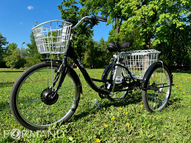 Трехколесный электровелосипед GreenCamel Трайк-24 V2 (R24 350W 48V12Ah), Красный